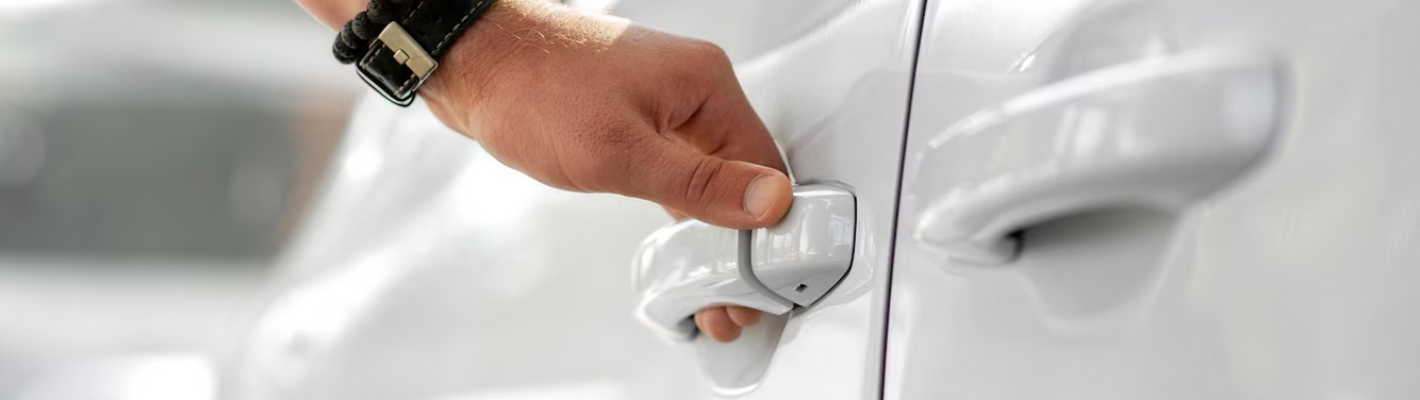 Berlin Minibusstransport image 1