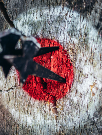 Flyvende våpen konkurranse Praha