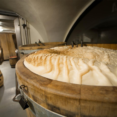 feat-pivovar.jpg image 5