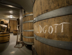 Praha Ølsmaking på mikrobryggeri image 4