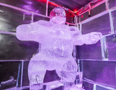 Barcelona Isbar opplevelse image 3