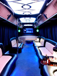 Festbuss med strippeshow Krakow