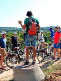 Sykling gjennom vingårder Barcelona