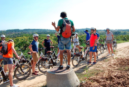 Barcelona Sykling gjennom vingårder image 1