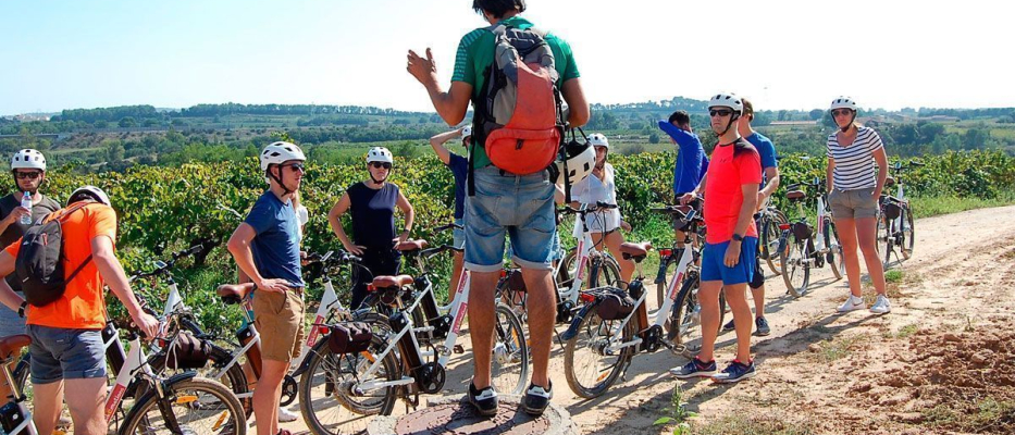 Barcelona Sykling gjennom vingårder image 1