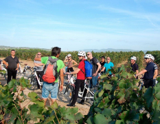 Barcelona Sykling gjennom vingårder image 3