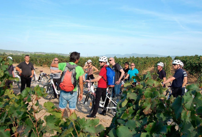 Barcelona Sykling gjennom vingårder image 3