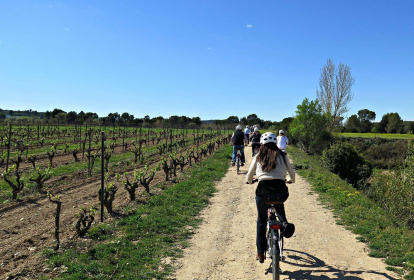 Barcelona Sykling gjennom vingårder image 5