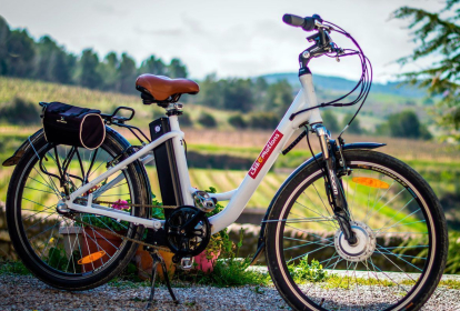 Barcelona Sykling gjennom vingårder image 2