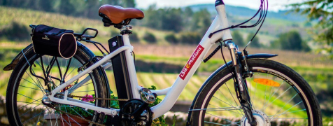 Barcelona Sykling gjennom vingårder image 2