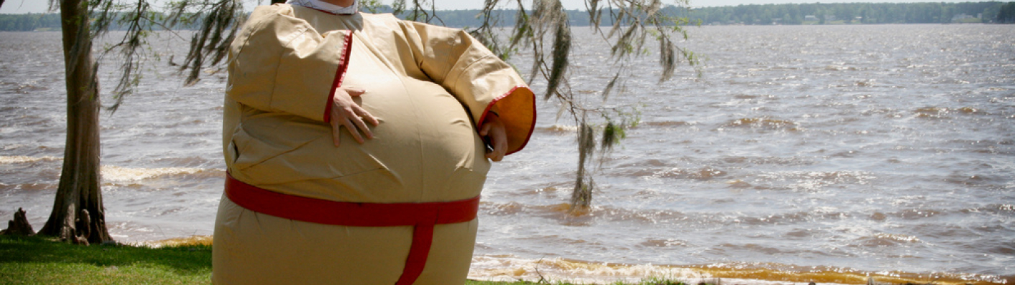 København Sumobryting image 1