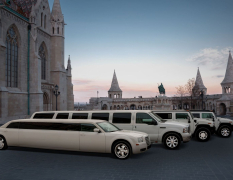 Budapest Vip Limo image 3