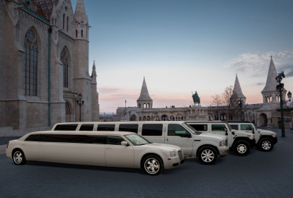 Budapest Vip Limo image 3
