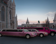 Budapest Vip Limo image 4