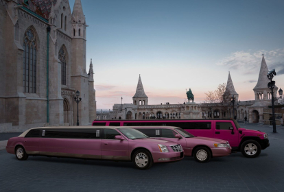 Budapest Vip Limo image 4