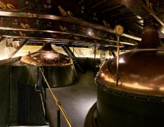 Praha Gulasjmiddag på mikrobryggeri image 4