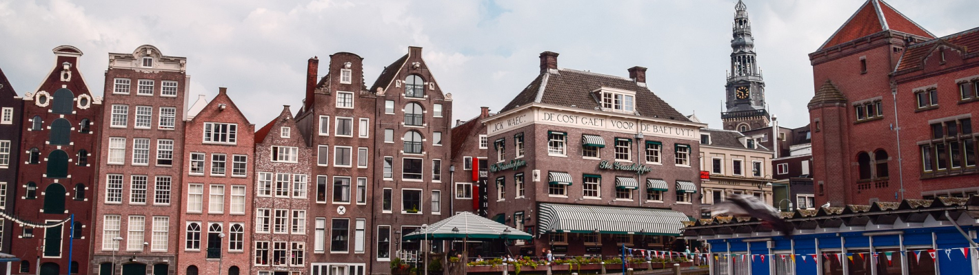 Amsterdam Offentlig båttur med fri bar image 1