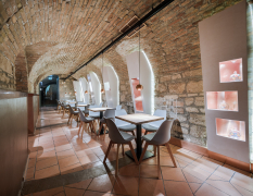 Budapest Palinka-smaking image 3