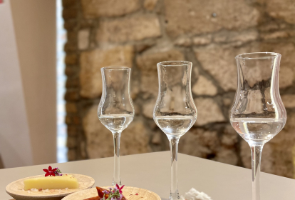 Budapest Palinka-smaking image 1