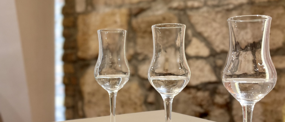 Budapest Palinka-smaking image 1