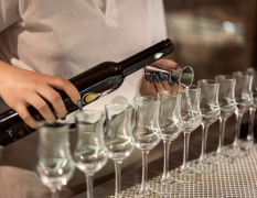 Budapest Palinka-smaking image 4