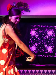 Flamencoshow + Middag Barcelona